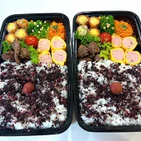 今日のお弁当🍱|Mikanさん