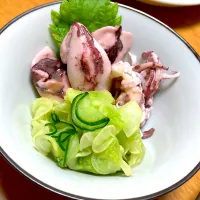 白きゅうり、緑の間引ききゅうりの塩揉みにちぃちぃイカ(剣先イカのちびっ子)を乗せて自家製酢味噌で 郷土料理のヌタ風の食べ物です|🐈⸒⸒⸒⸒つるのダンス🐈🐾さん