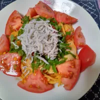 しらすと大葉トマト梅豚しゃぶパスタ（ゼンブヌードル）|よっちびやばんぶーさん