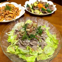 牛肉＊豚肉＊鶏肉＊牛冷しゃぶ＊大葉・茗荷・叩き梅・ブロッコリースプラウト＊豚キムチ＊砂肝ズッキーニ炒め| henryさん