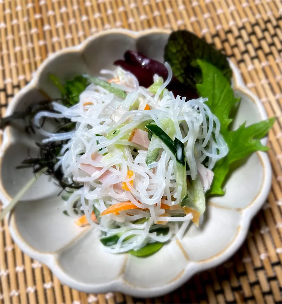 春雨サラダ|藤田 まり子さん