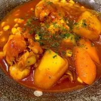 チキンと野菜のケチャップ煮|cocochiさん