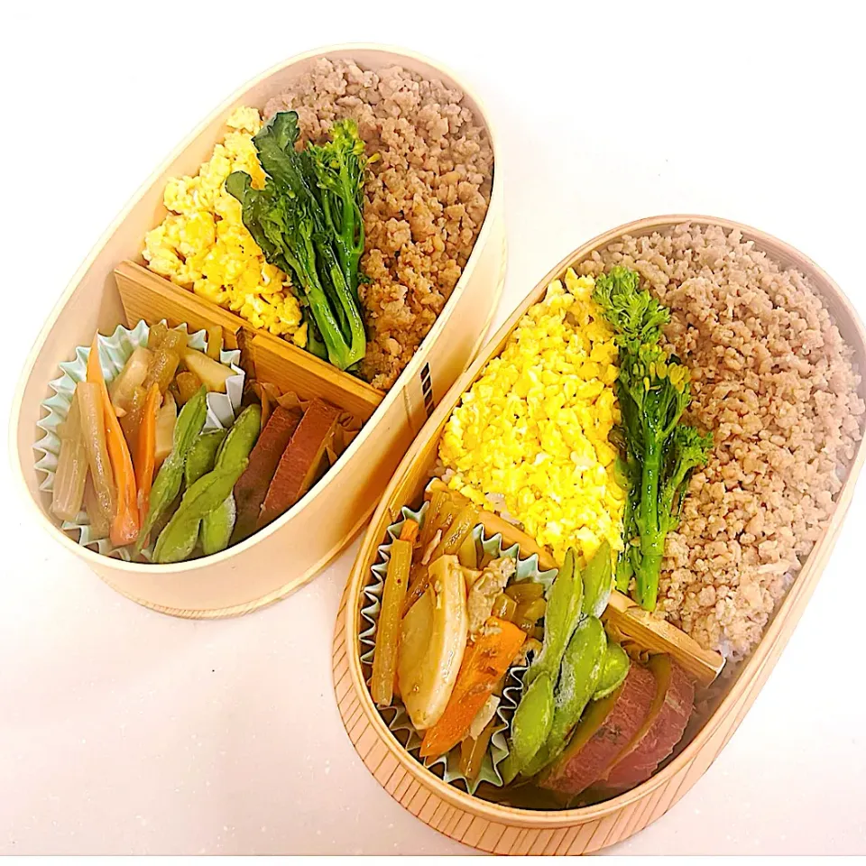 5/28 いつもの弁当&高1男子弁当|ペイたさん