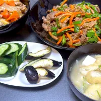 夜ご飯　ぬか漬けしてみました。|Rieさん