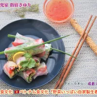 掲載レシピのご紹介世界の食文化 🇻🇳ベトナム食文化『野菜いっぱい自家製生春巻き』【公式】料理研究家 指宿さゆり|【公式】料理研究家　指宿さゆり≫ｽﾀｼﾞｵ（ｽﾀｯﾌ運営）さん