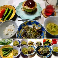 夏の晩御飯|うたかた。さん