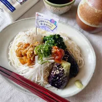 *･梅酢つゆのネバネバおろし素麺･*|isakoさん