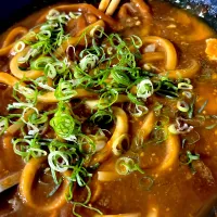 夏はカレーうどん| stalinさん