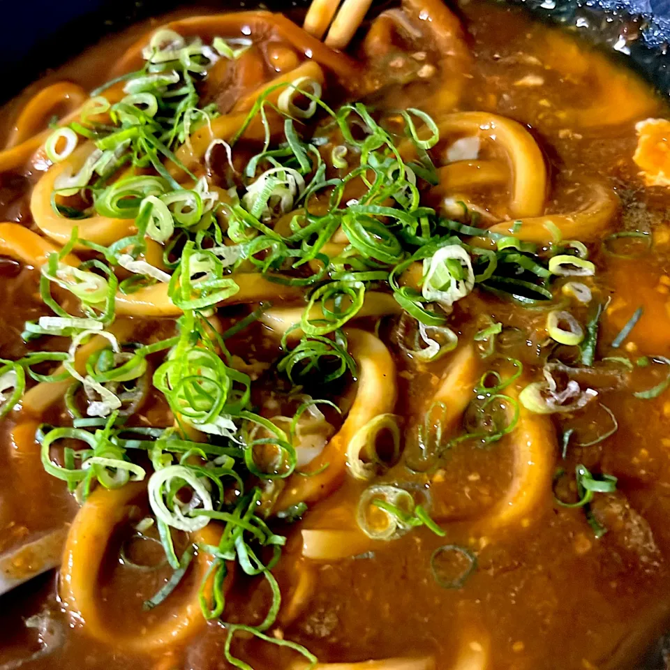 夏はカレーうどん|stalinさん