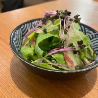 豚しゃぶ温サラダ|いがをさん