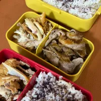 |トトが作るご飯さん