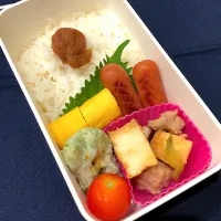 梅干しご飯、たまご焼き、ウインナー、厚揚げと鶏もものネギ旨煮、ちくわ磯辺、ミニトマト|きらきらさん