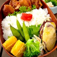 唐揚げ弁当|Dayuuさん
