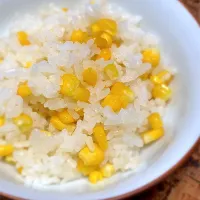 初コーン🌽ご飯🍚|にょんにいさん