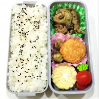 旦那さん弁当🍱|さーりさん