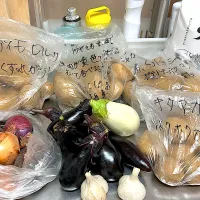 採れたて野菜|ふくぷくさん