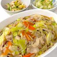 我が家の定番、肉野菜炒め。|ゆーこ。さん