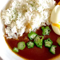 ちょっと冷えたオクラとゆで卵のカレー|Ayaさん