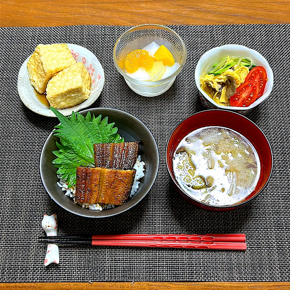 うなぎ丼、揚げ出し豆腐、春雨サラダ、お味噌汁(白菜、ナス)、カルピスゼリー|柚子きりかさん