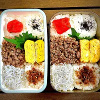 今日のお弁当|Dayuuさん