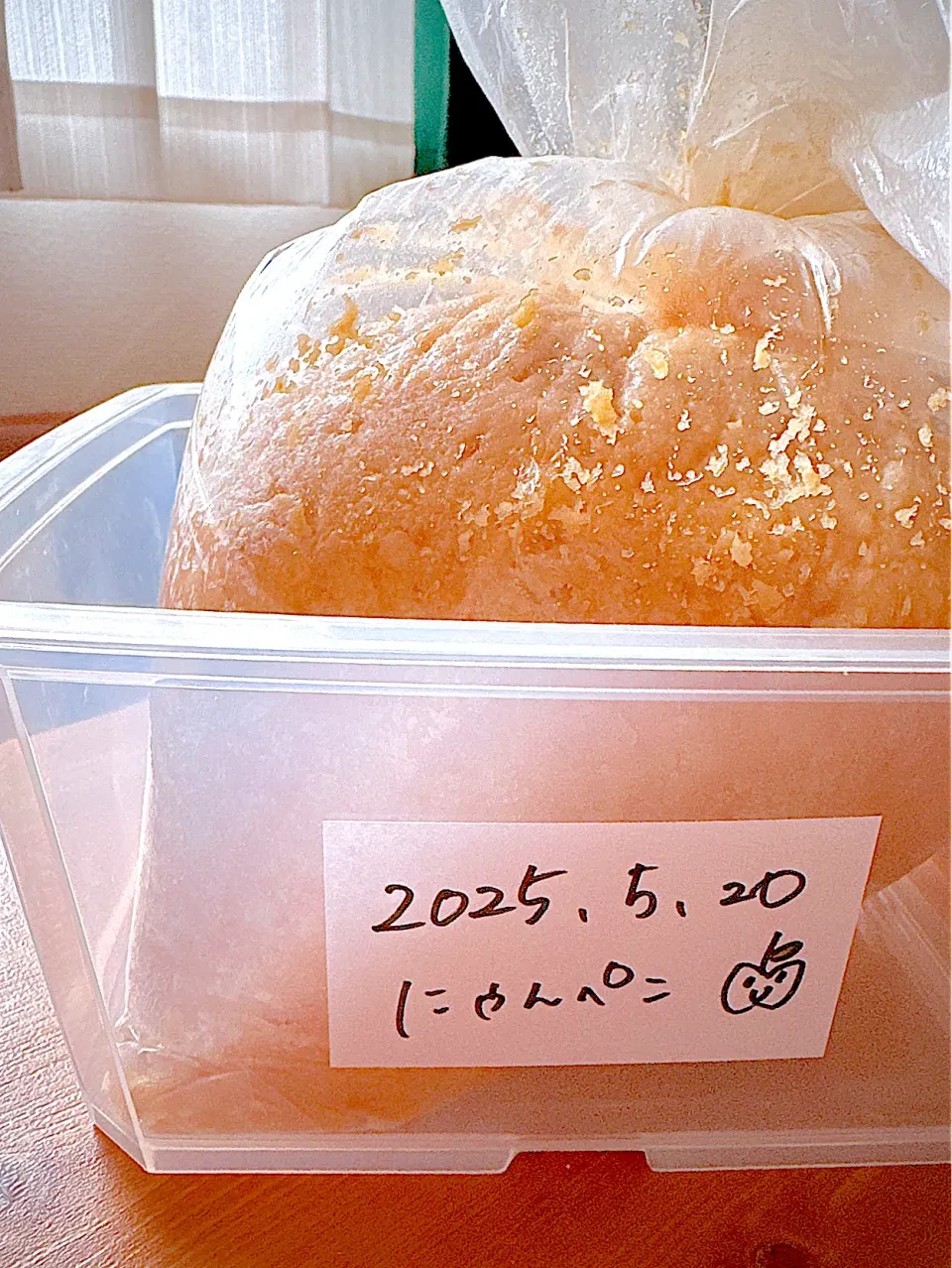 すくすくスクープ((っ`ω´)っ🎤突撃‼️お味噌の赤ちゃん|にゃんぺこさん