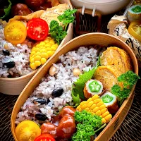 イシイのミートボール弁当
