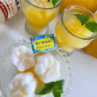 とんちんさんの料理 みかん缶シャーベット を、八朔で🟡