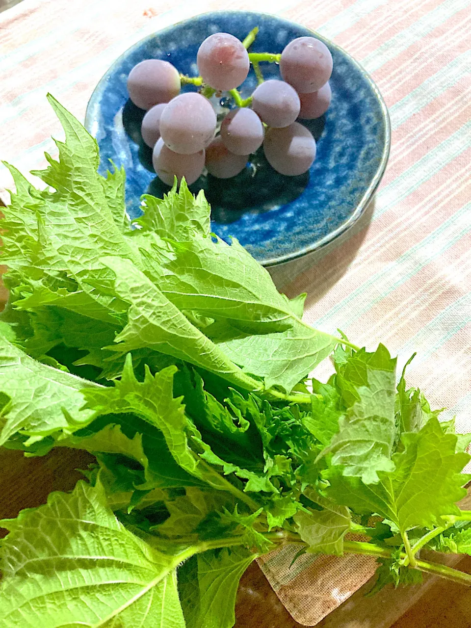 早起きは三文の徳！再び。青紫蘇もらった😊そして実家のガレージで密かに出来るぶどう🍇|さくたえさん