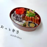 夫弁当|miyuuuさん