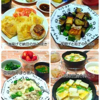 厚揚げと茄子の炒め物