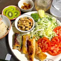 7/8晩ご飯：春巻き2種|ななみんさん