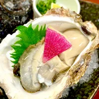 岩牡蠣🦪
