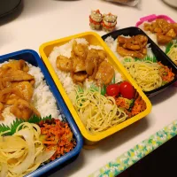 息子弁当､夫弁当､娘弁当､私弁当|みどりさん