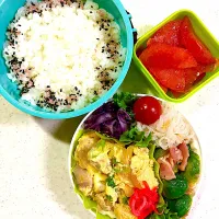 お弁当| Yukionさん