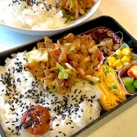おっさん弁当＆ワンプレート　ひじき　もやしナムル　オクラ　ニンニク　野菜炒め　卵焼き| ひげおやじさん