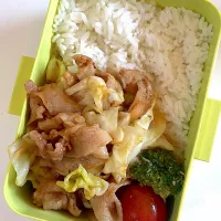 ホイコーロー弁当|yukikouさん