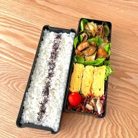 豚バラ肉とキャベツ炒め弁当🍱|nonoさん