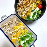 父が作る長男長女弁当| 父が作る弁当さん