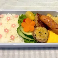 jkお弁当🎵|シャビーちゃんさん