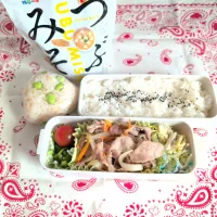 つぶみそを使った高校生弁当|あっきさん