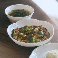 大豆のお肉の麻婆ナス|りょうりょうさん