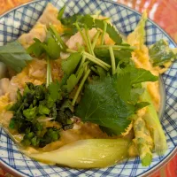 親子丼|Mayayaさん