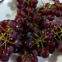 デラウェア🍇✨|まなみさん
