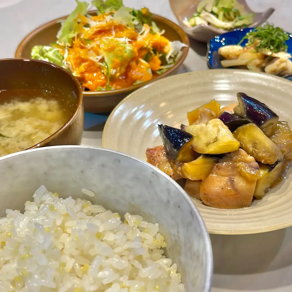 鶏ももと茄子のすっぱ煮。他。|ぎんさん