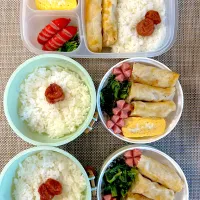 春巻き弁当。旦那さん、娘弁当。|ゆーこ。さん