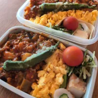 キーマカレーたまご乗せ弁当|まきごろうさん