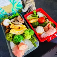 20250710🍱今日のお弁当🍱|akiyo22さん