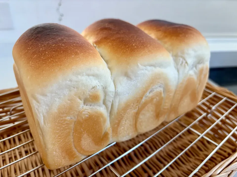 オーバーナイト食パン|さっちんさん