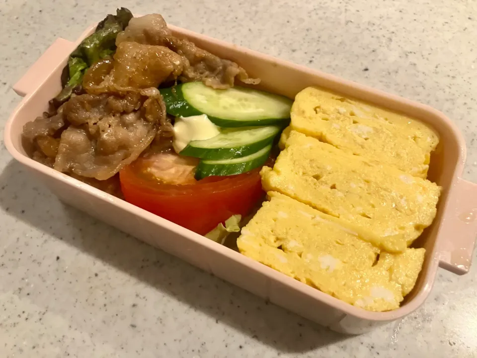 奥さん用弁当|tatsuponさん