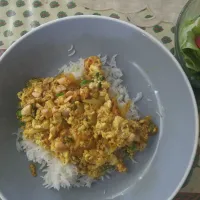 夏の精進カレー| はやとさん